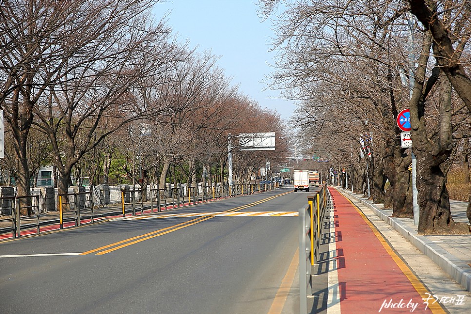 2022 벚꽃 개화시기 서울 벚꽃 명소 여의도 윤중로 벚꽃길 개방(3월 22일)