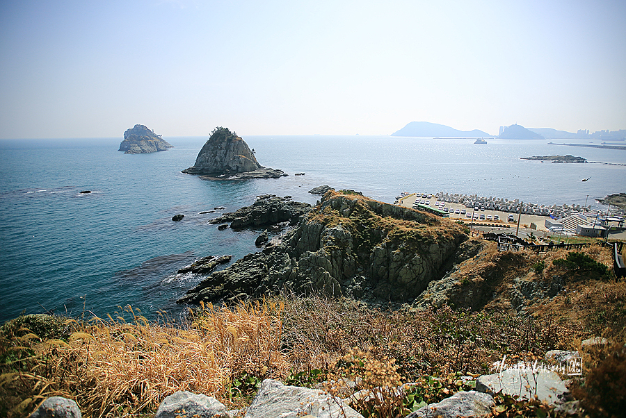 부산 가볼만한곳 해운대 놀거리 요트투어 요트G 부산 관광