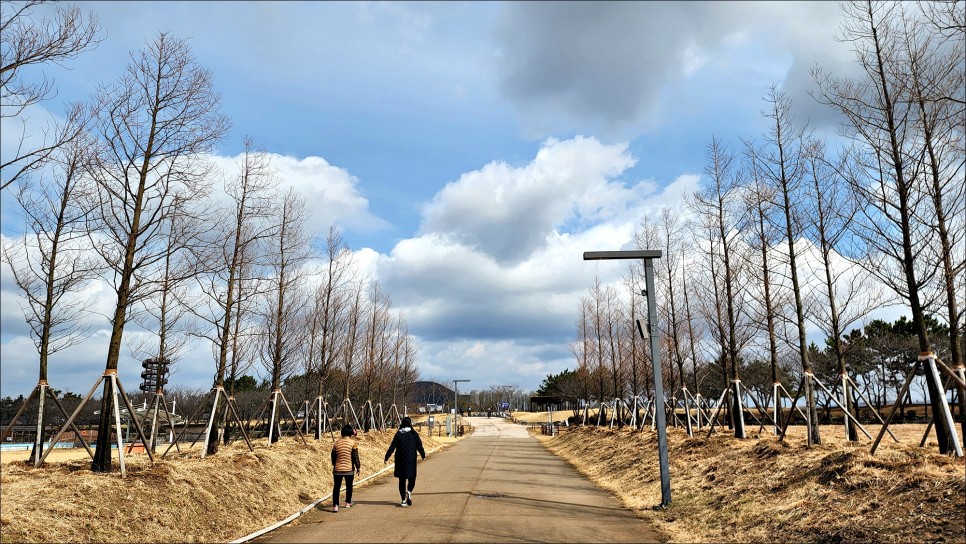 서울근교 나들이 경기도 산책로 시흥갯골생태공원 주말 갈만한곳!