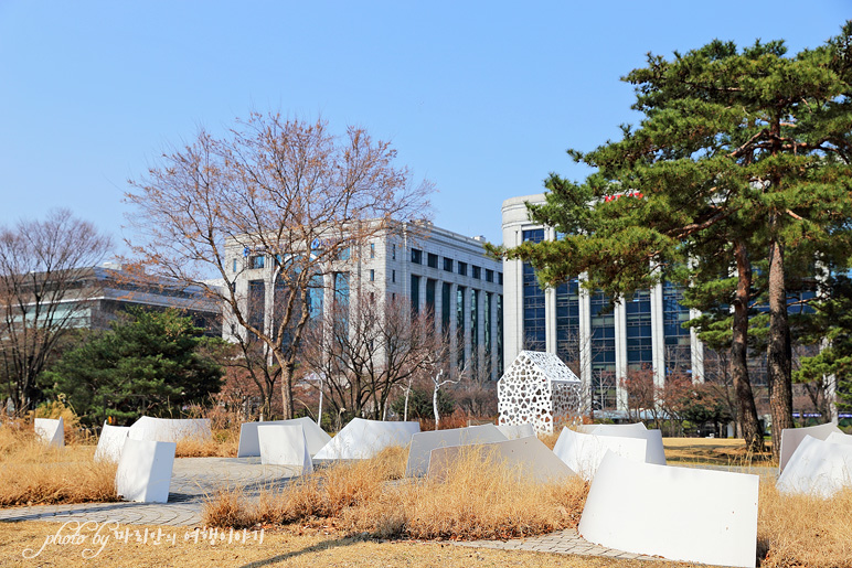 서울 여의도 공원 봄 서울여행지 추천, 윤중로 여의도 벚꽃길 3/22