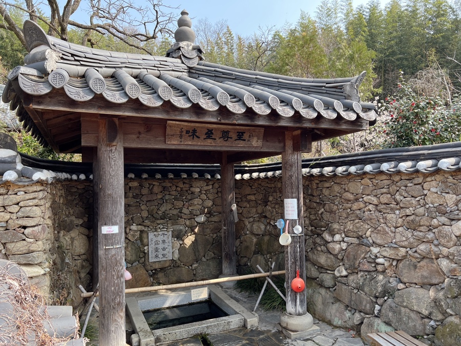 구례 가볼만한곳 산수유마을, 쌍산재, 화엄사 홍매화, 지리산치즈랜드, 벚꽃여행은 다음주!