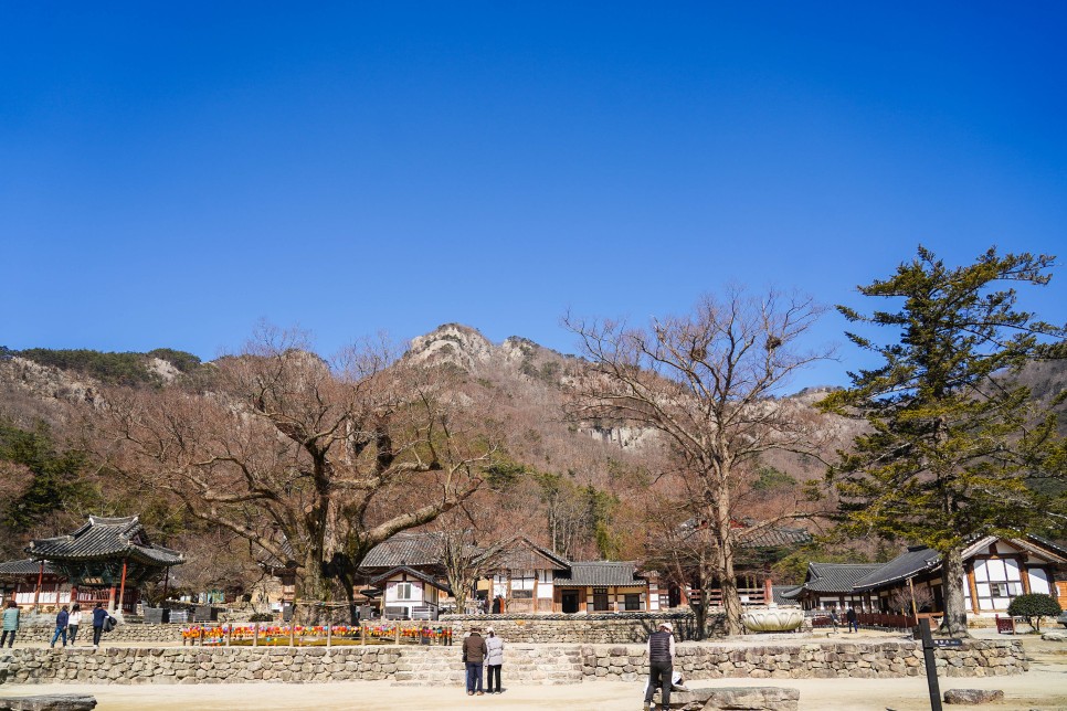 부안 가볼만한곳 내소사, 변산반도 채석강, 격포항, 변산 해수욕장, 변산숙소 소노벨 변산 등