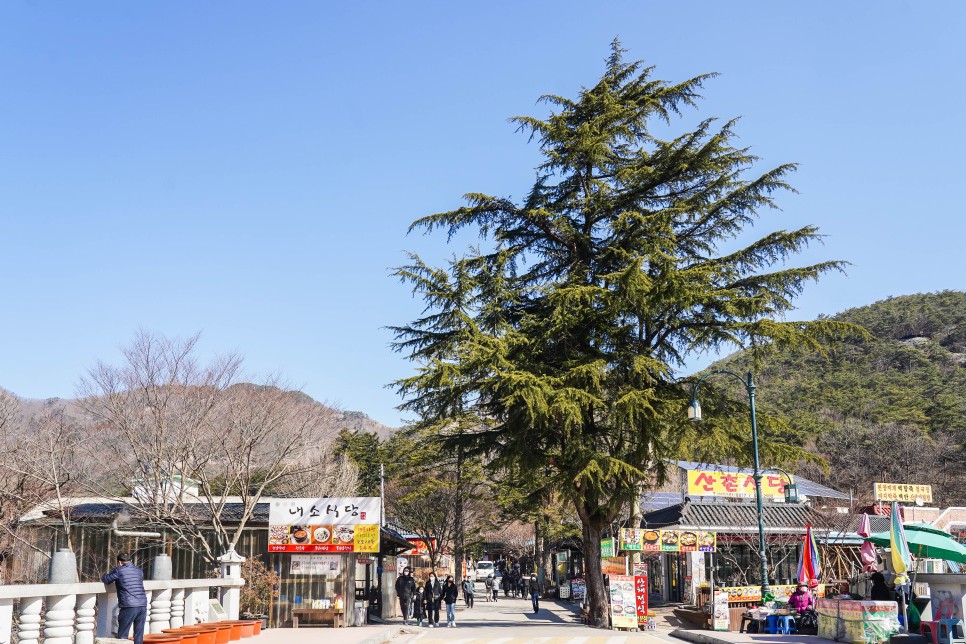 부안 가볼만한곳 내소사, 변산반도 채석강, 격포항, 변산 해수욕장, 변산숙소 소노벨 변산 등