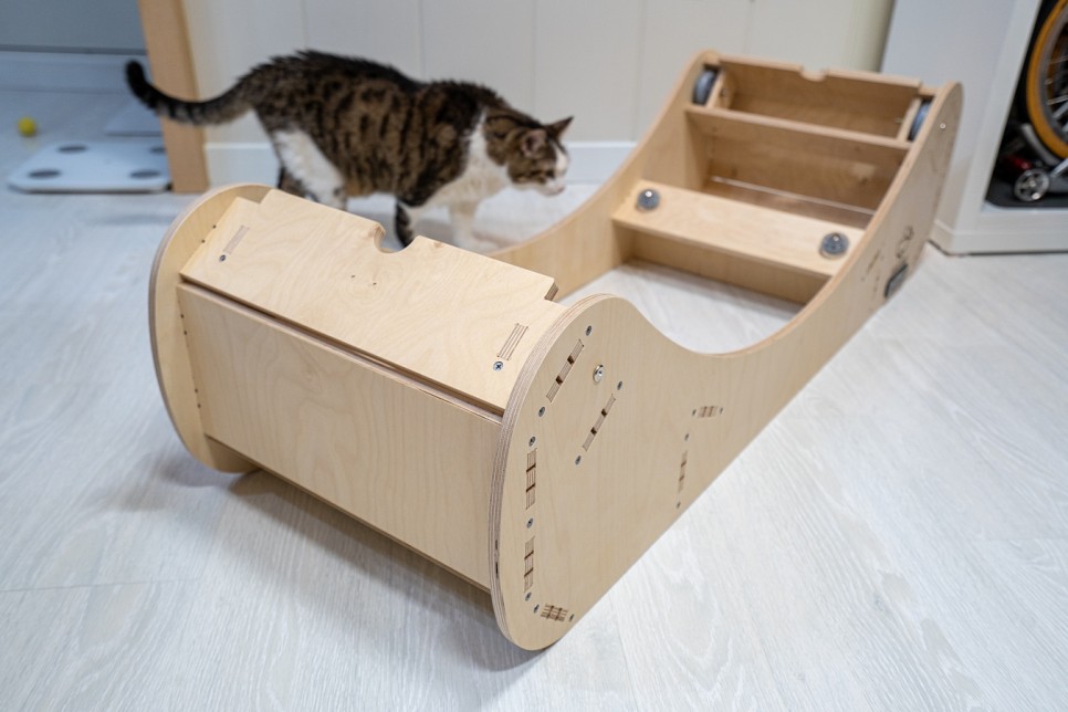 [고양이 용품] 그린웨일 캣휠 특대형 한 달 사용 후기