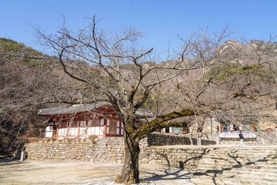 부안 가볼만한곳 내소사, 변산반도 채석강, 격포항, 변산 해수욕장, 변산숙소 소노벨 변산 등