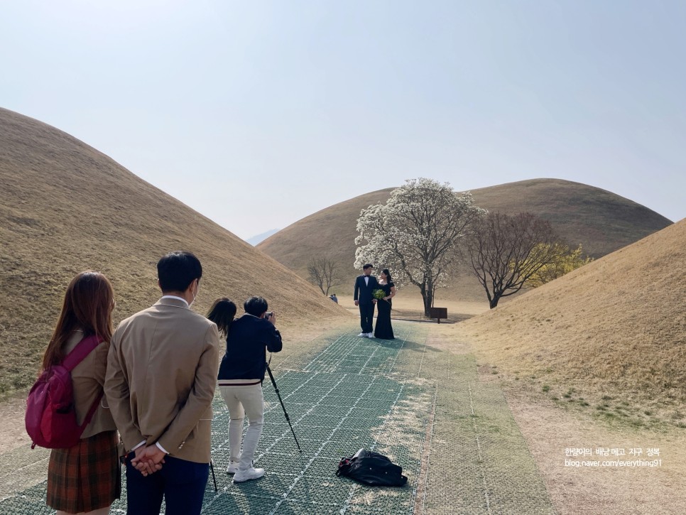 경주 여행 벚꽃 명소 뷰가 엄청난 카페