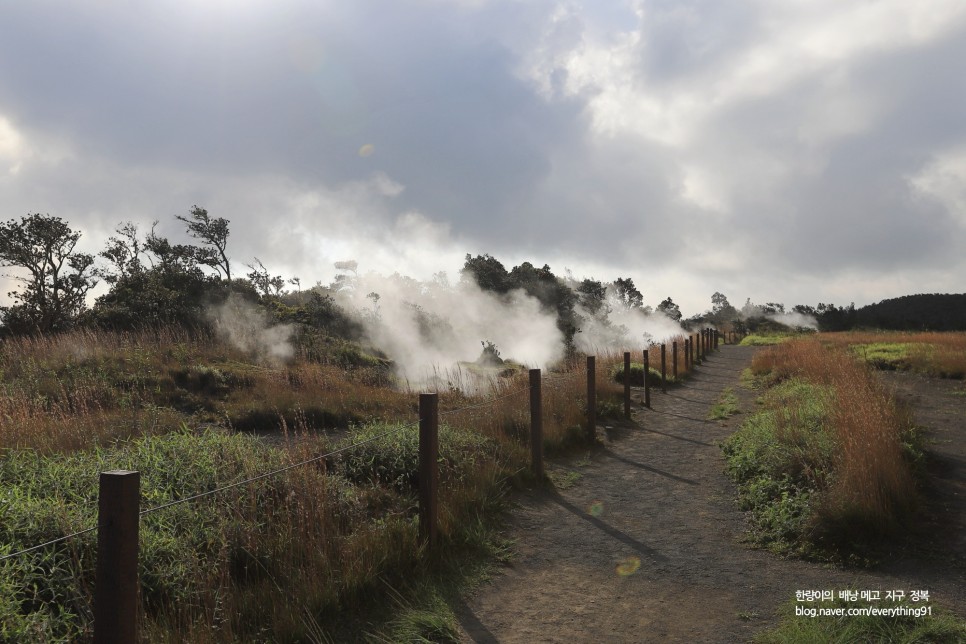 하와이 빅아일랜드 화산국립공원 자동차 여행