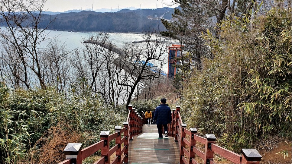 강원도 삼척 가볼만한곳 주말여행지 임원항 수로부인헌화공원 삼척여행!