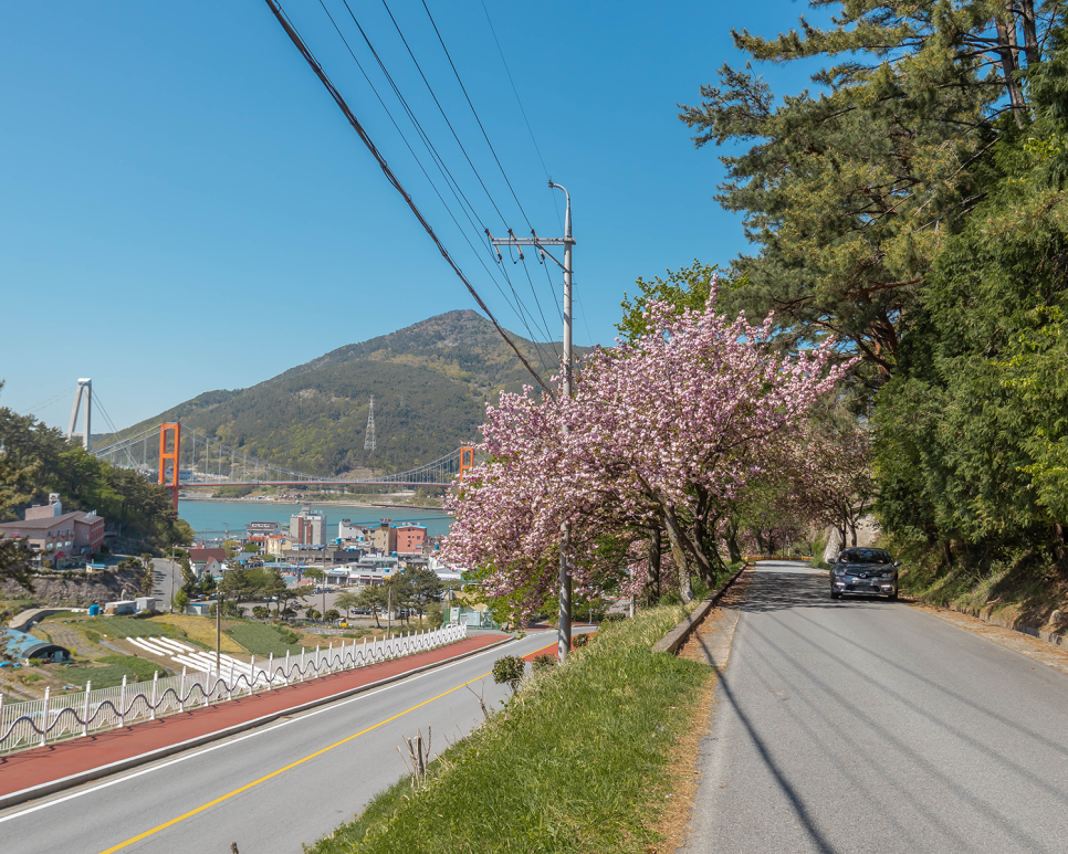 남해 가볼만한곳 겹벚꽃명소, 섬이정원, 다랭이마을 유채꽃명소 4월꽃구경 추천!