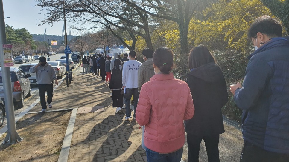 울산 무거천 벚꽃 벌써 만개했네요. (3월 28일)