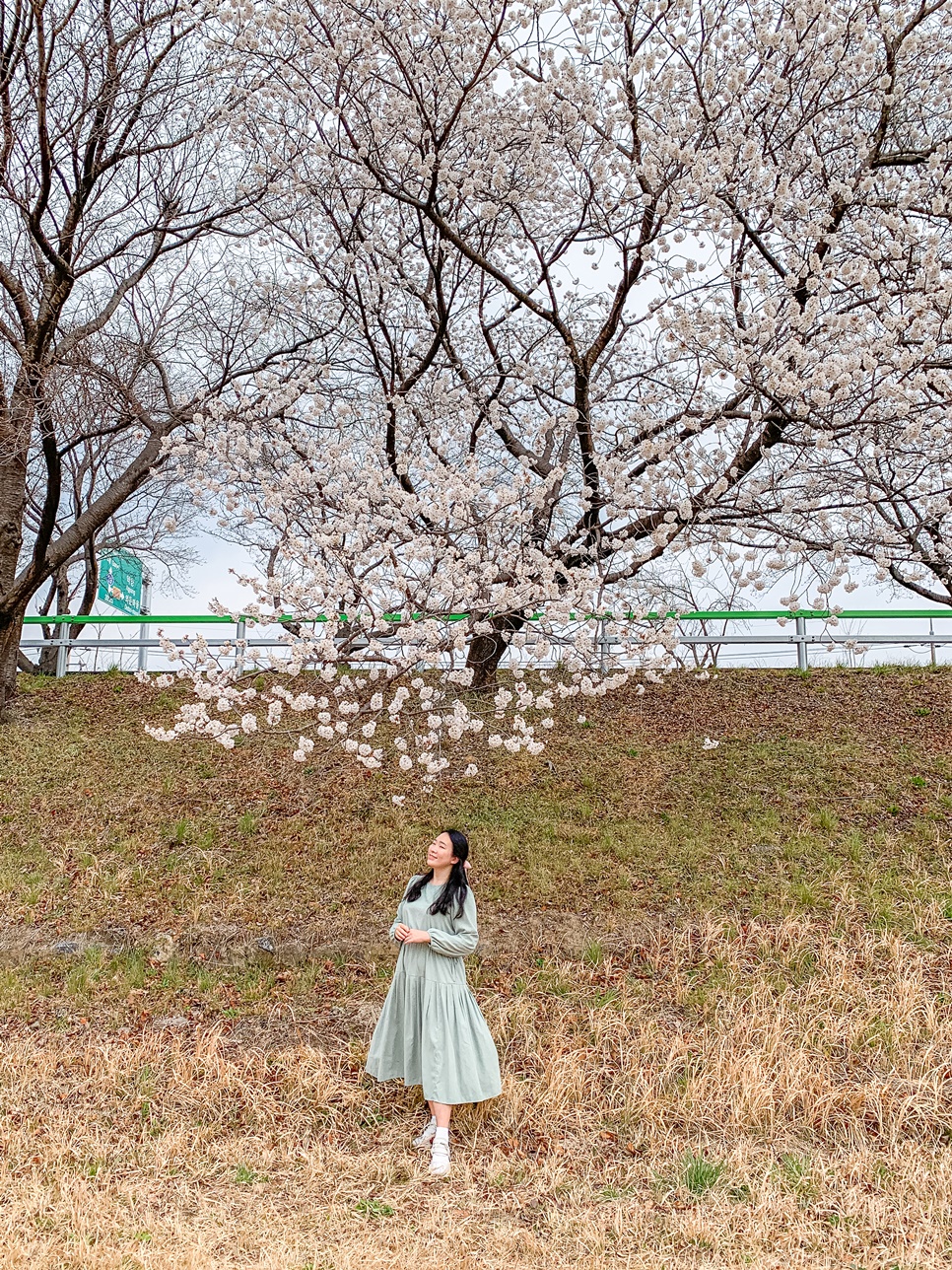 경남 하동 가볼만한곳 BEST 8 : 하동십리벚꽃길 등 하동여행