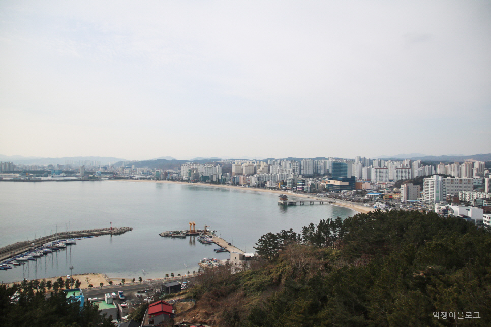 경북 포항 가볼만한곳 영일대 해수욕장 바다 구경과 장미원