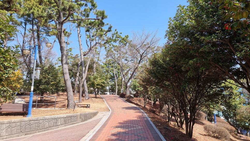 사천 가볼만한곳 삼천포항 낚시 포인트, 노산공원 동백꽃길