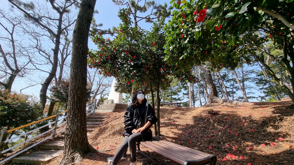 사천 가볼만한곳 삼천포항 낚시 포인트, 노산공원 동백꽃길