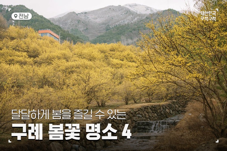 [구례 봄 여행] 달달하게 봄을 즐길 수 있는 구례 봄꽃 명소 4 :: 산수유마을, 화엄사, 섬진강 벚꽃길, 쌍산재, 구례 가볼 만한 곳