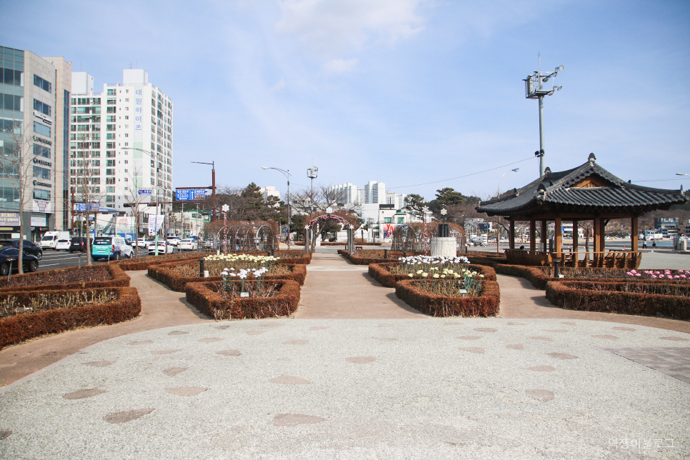 경북 포항 가볼만한곳 영일대 해수욕장 바다 구경과 장미원