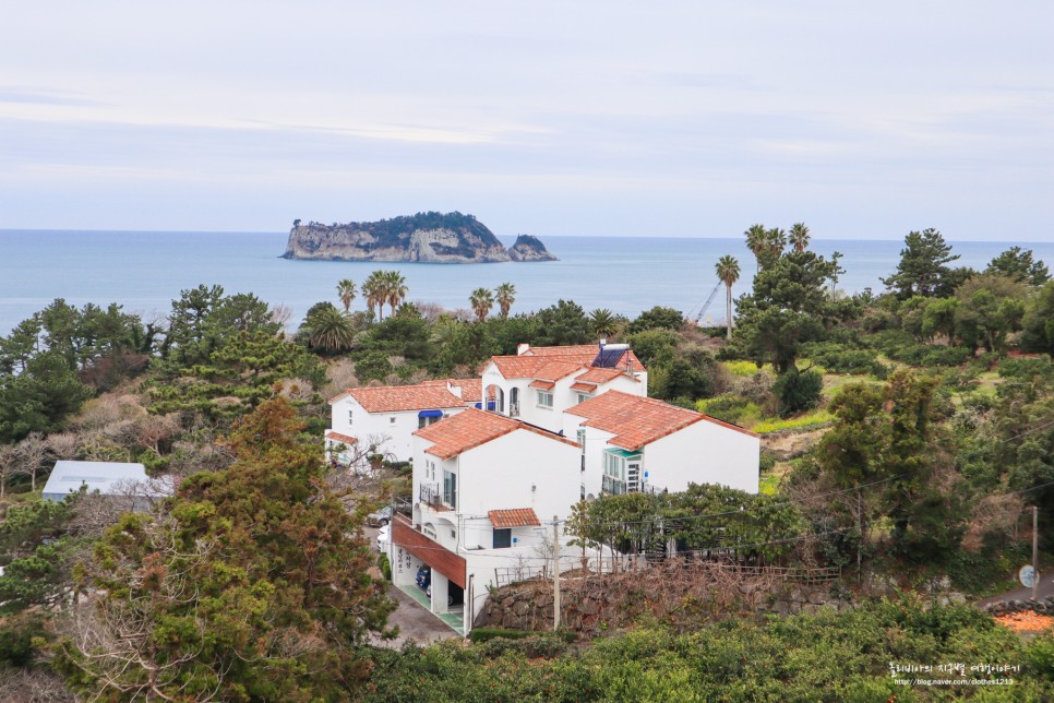 제주도 수영장 호텔 인피니티풀 제주 골드원호텔앤스위트 리조트