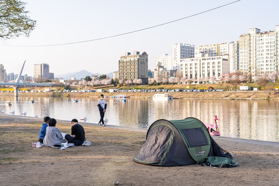 실시간 대구 벚꽃 명소 BEST 4 : 대구 이월드 83타워 동촌유원지 등