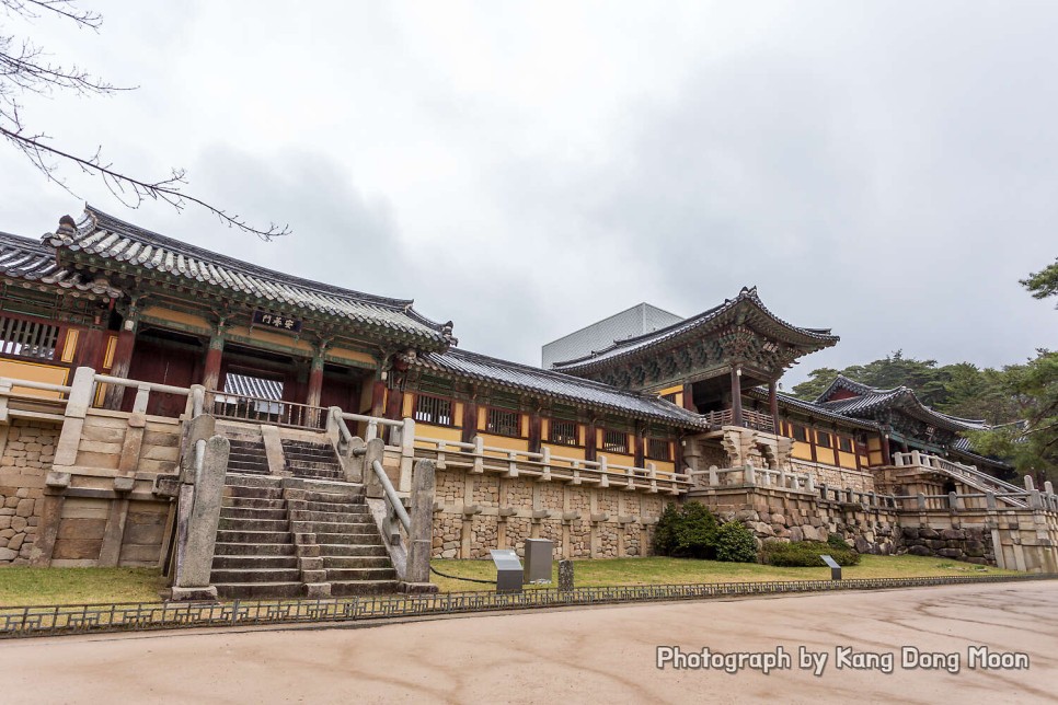 2022 경주 벚꽃 개화시기 국내 봄 여행지 경주 가볼만한곳 여행 코스 경주 불국사 절