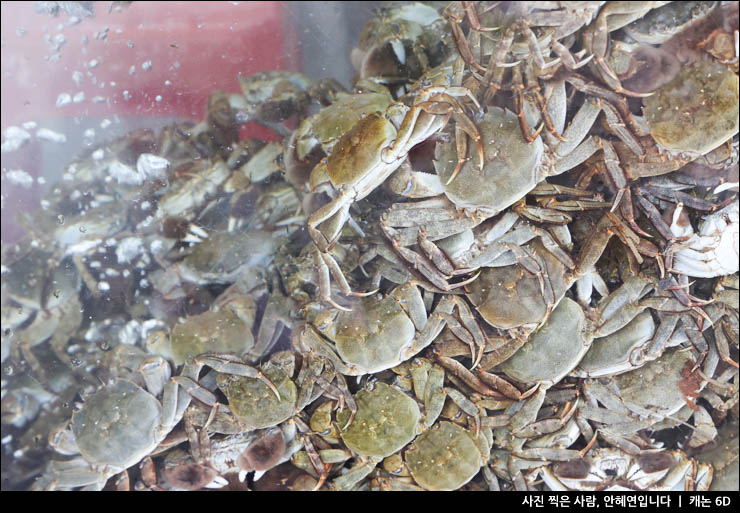 경남 여행 나들이 하동 화개장터 먹거리 재첩국 장터국밥 주차장