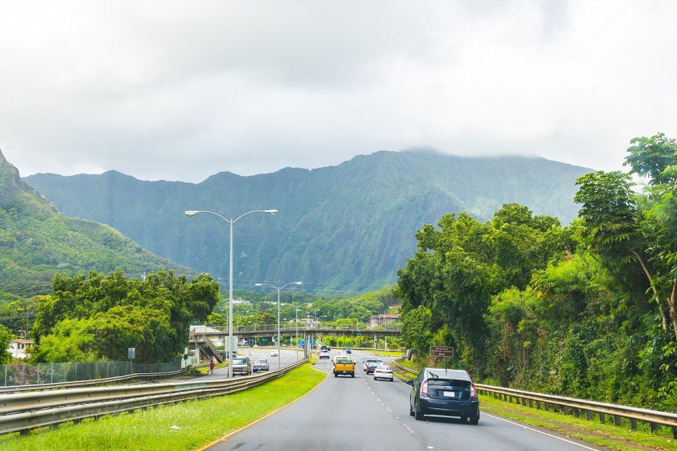미국 하와이 렌트카 최대 5만5천원 선착순 할인, 여행 액티비티 할인까지