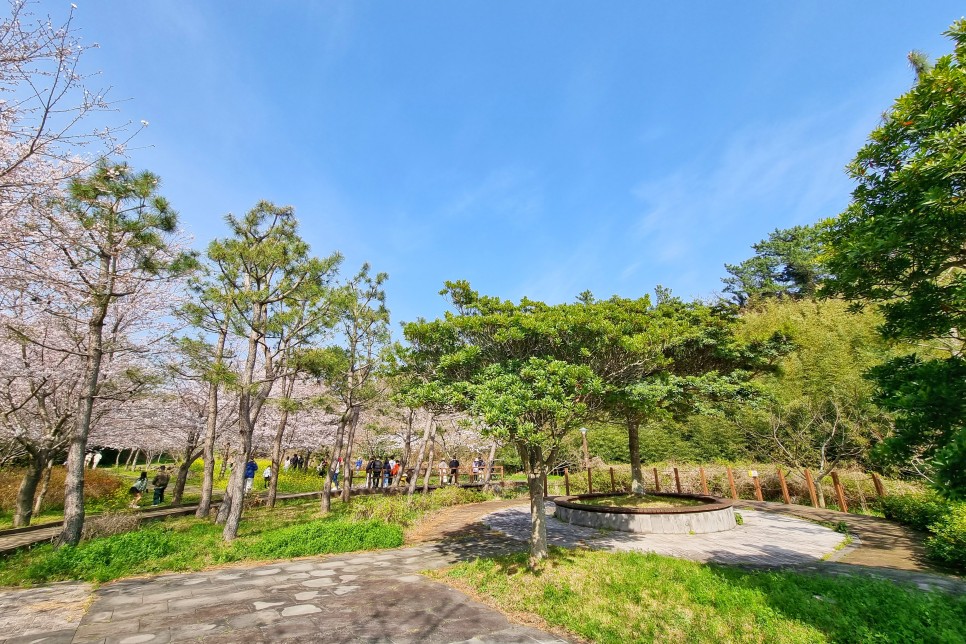 제주 서귀포 가볼만한곳 봄꽃 산책하기 좋은 예래생태공원