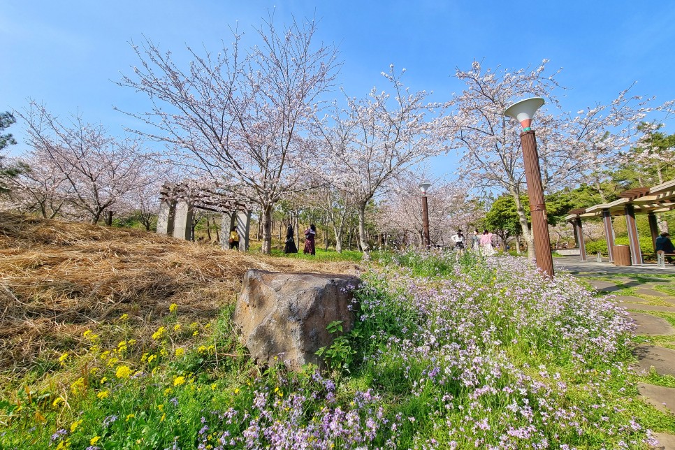 제주 서귀포 가볼만한곳 봄꽃 산책하기 좋은 예래생태공원