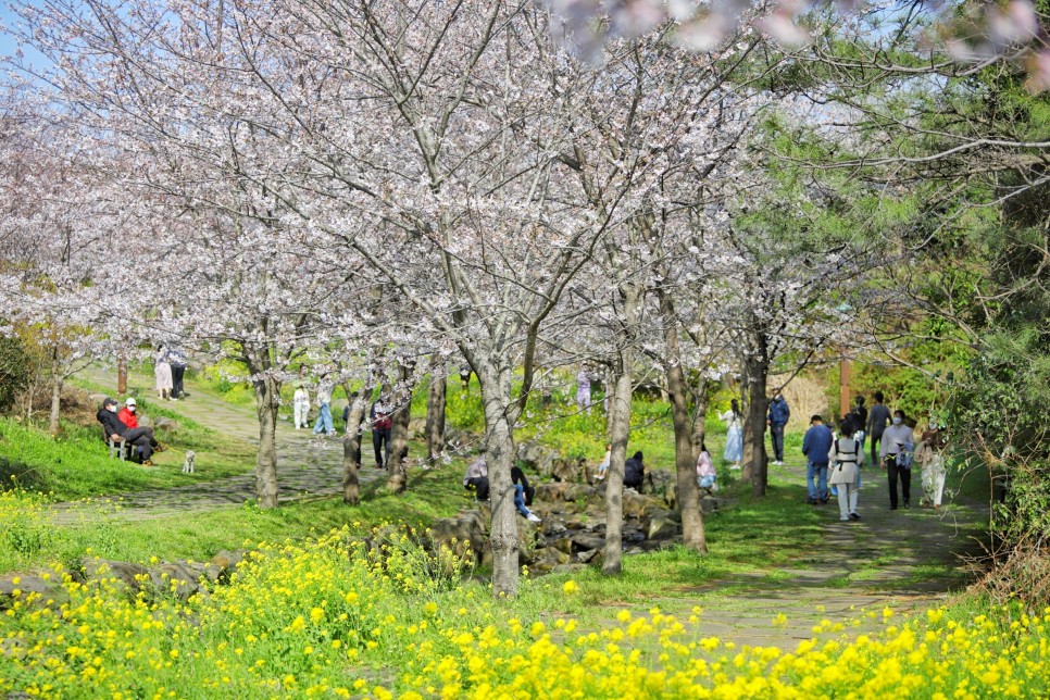 제주 서귀포 가볼만한곳 봄꽃 산책하기 좋은 예래생태공원