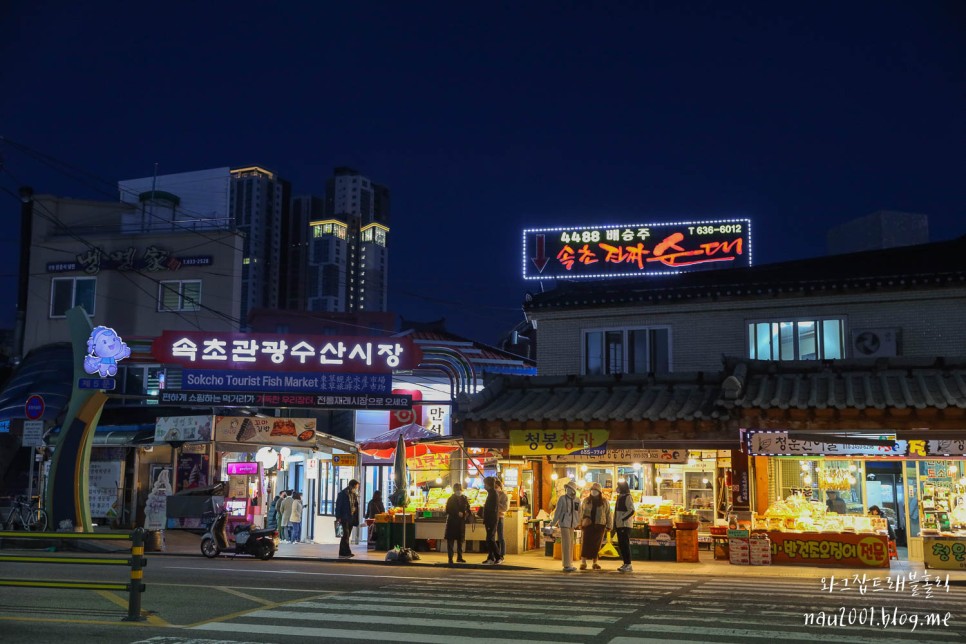 속초 가볼만한곳 속초아이 대관람차 포함 당일치기코스