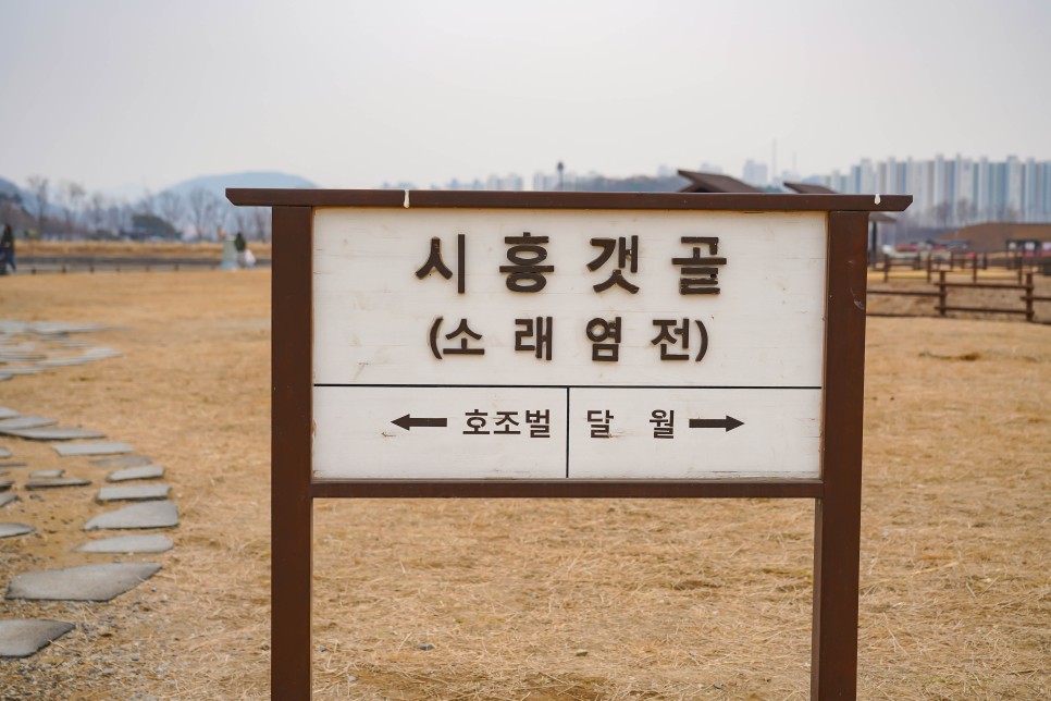 경기도 아이와 가볼만한곳 시흥 갯골생태공원 서울근교 당일치기 여행
