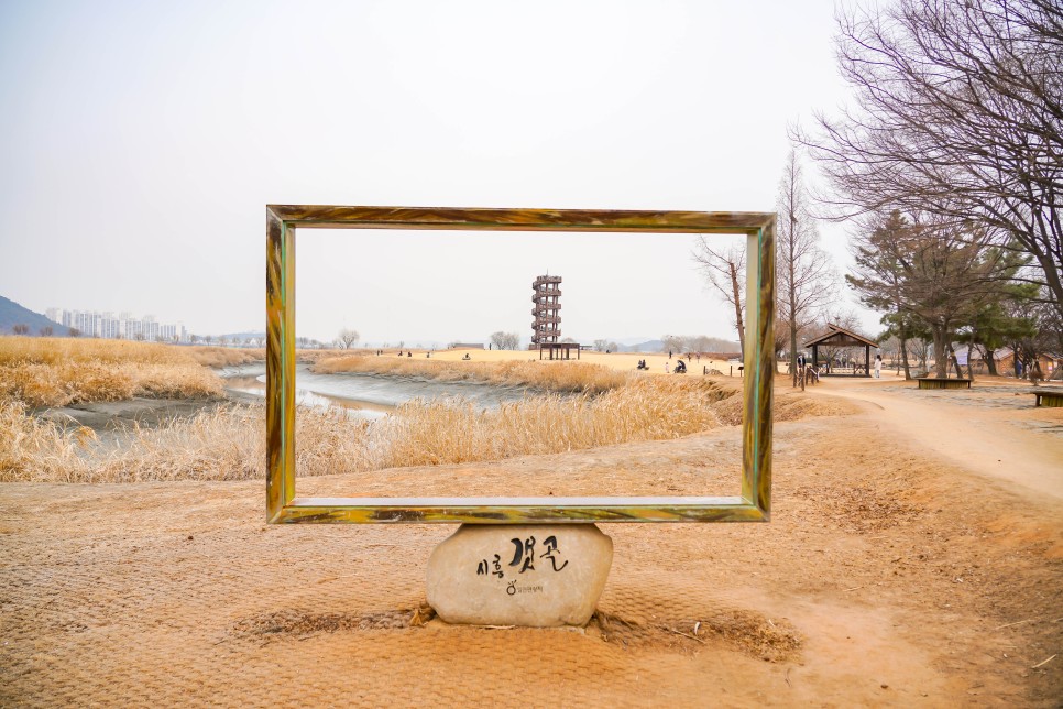 경기도 아이와 가볼만한곳 시흥 갯골생태공원 서울근교 당일치기 여행