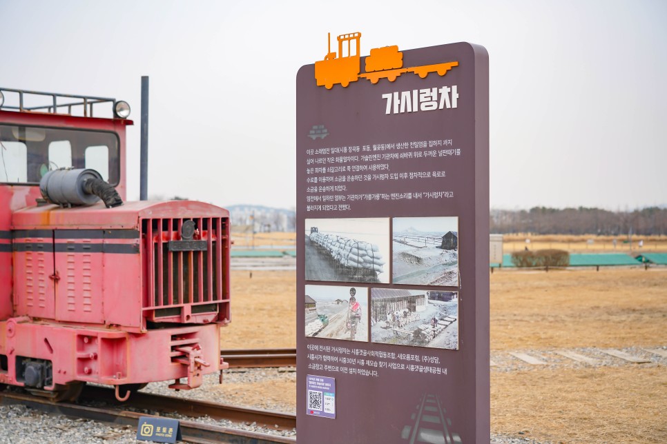 경기도 아이와 가볼만한곳 시흥 갯골생태공원 서울근교 당일치기 여행