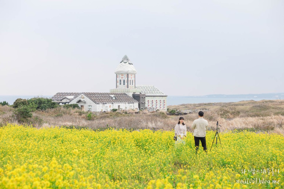 제주 성산 카페 섭지코지 앞 오션뷰 서귀피안 베이커리