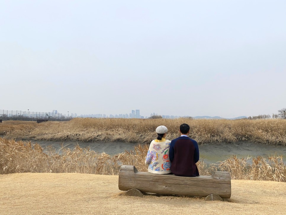 경기도 아이와 가볼만한곳 시흥 갯골생태공원 서울근교 당일치기 여행