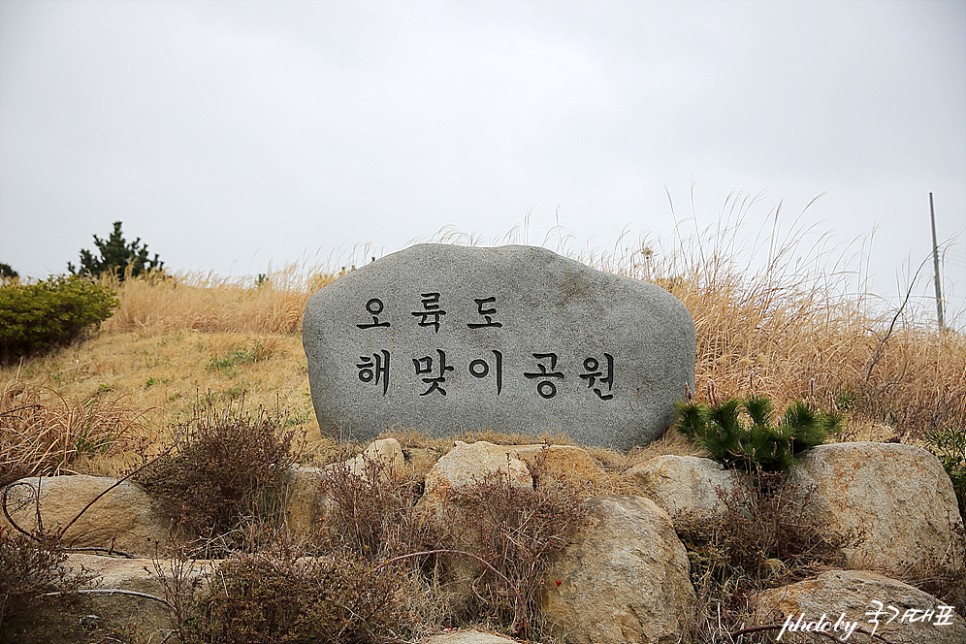 부산 오륙도 스카이워크 해맞이공원 수선화 부산 유채꽃 해파랑길