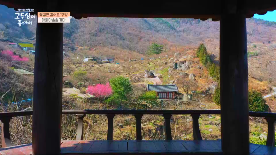 전남 여행지 추천 광양 가볼만한곳 고두심이 좋아서 촬영지 LG헬로비전 x 채널A