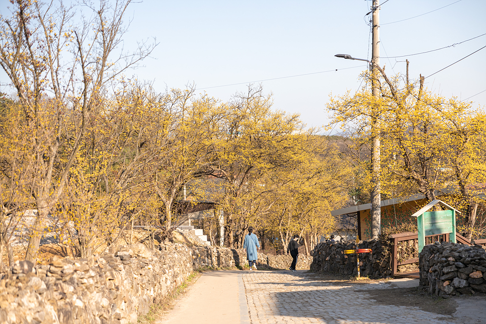 경기도 가볼만한곳 이천 도자기마을 예스파크 이천 볼거리 5곳