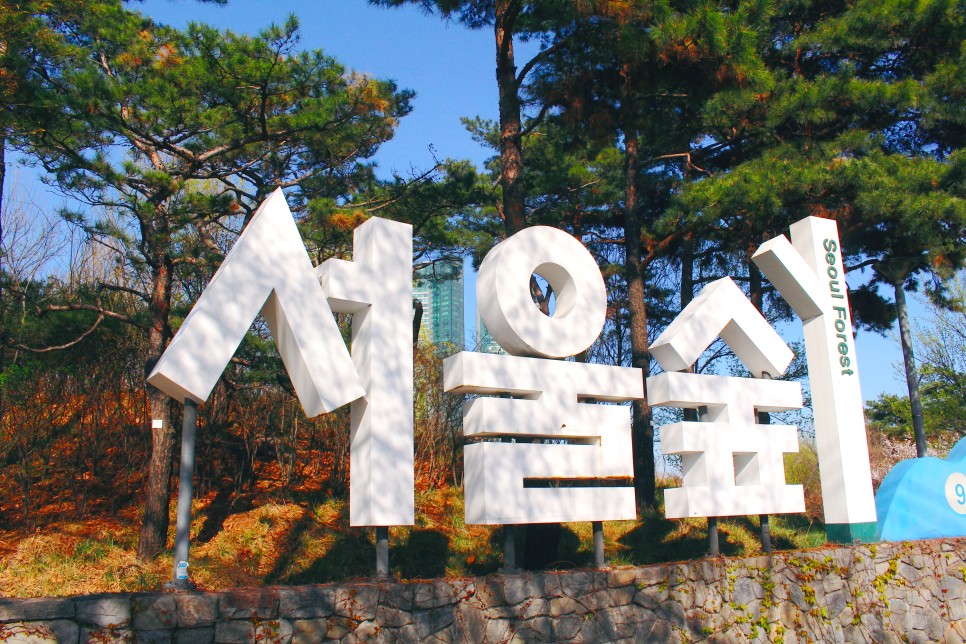 [서울 벚꽃 명소] 흩날리는 벚꽃잎이 가득한 서울 공원 나들이 :: 올림픽공원, 서울숲, 여의도 한강공원, 선유도공원, 서울 가볼 만한 곳