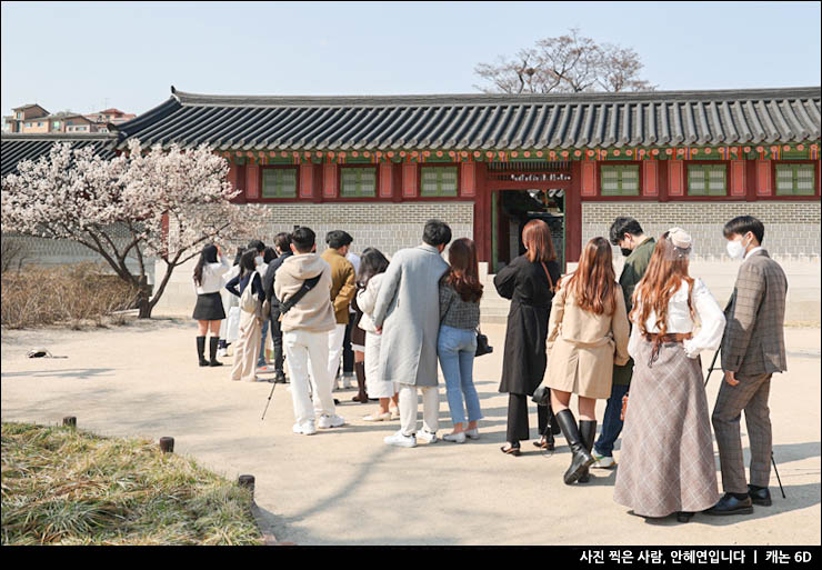 꽃구경 궁궐 나들이 서울 매화 명소 창덕궁 홍매화 낙선재 한복