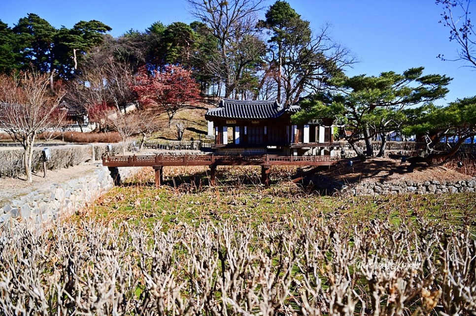 강릉 여행코스 볼거리 먹거리 가득 빅피처6 천국의계단 드라이브코스