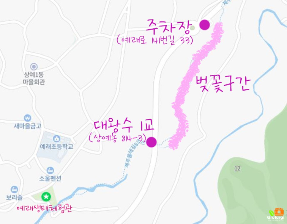 여자 혼자 국내여행 서귀포 관광지 제주 예래생태공원 벚꽃 혼자놀기