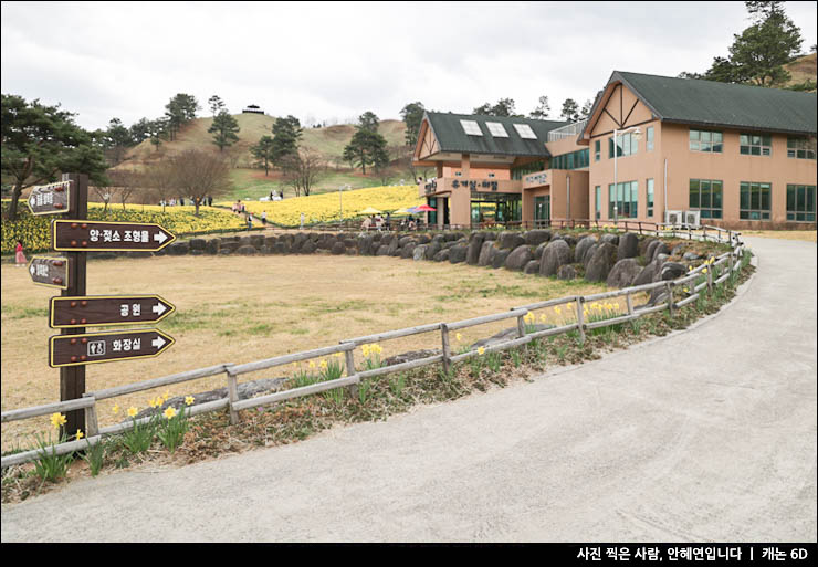 전라도 여행 구례 지리산치즈랜드 수선화 만개 봄나들이