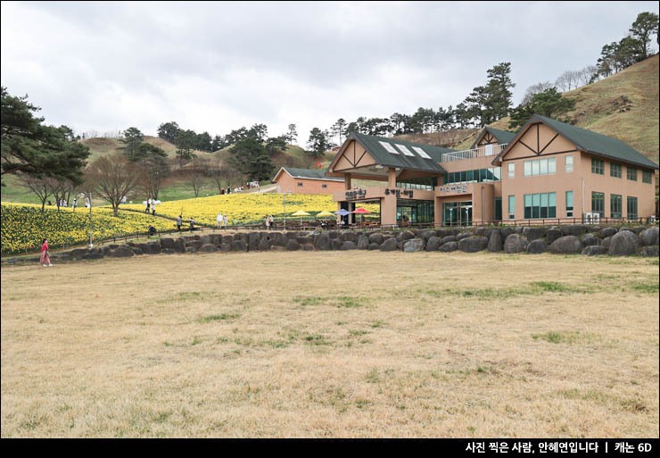 전라도 여행 구례 지리산치즈랜드 수선화 만개 봄나들이