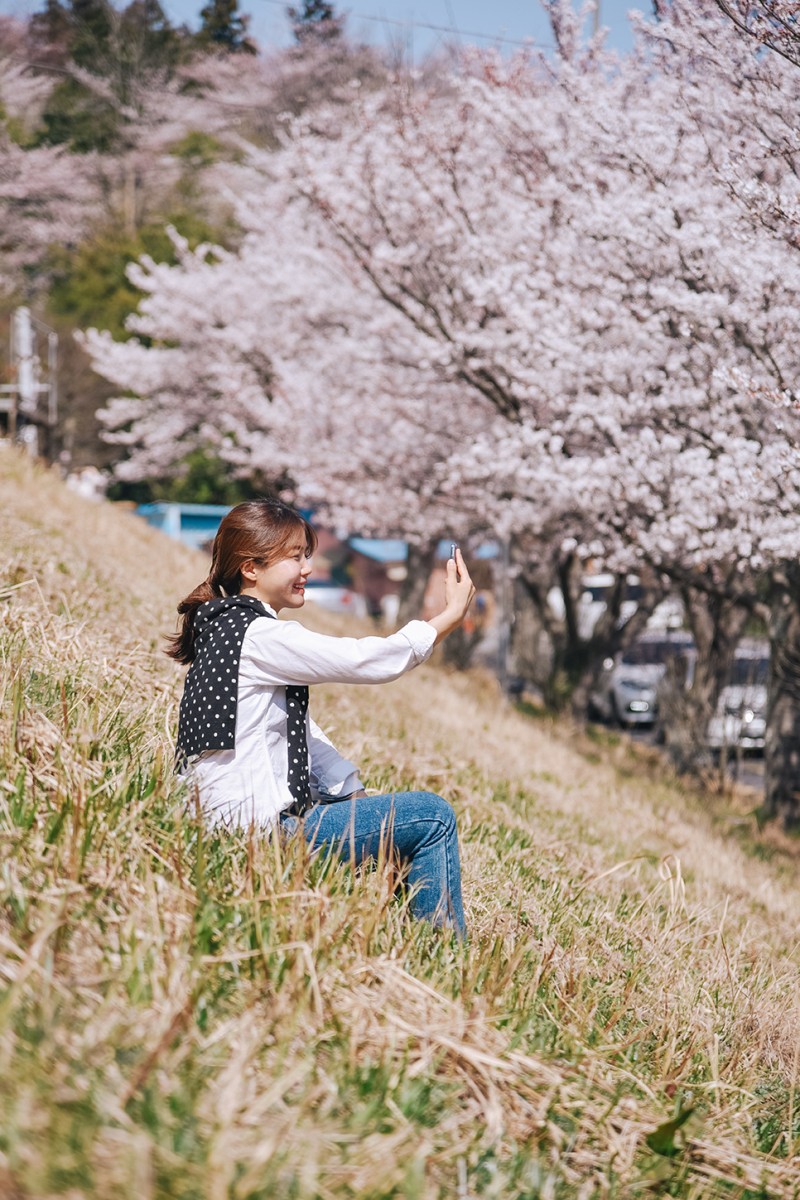 전라도 4월 꽃구경 가볼만한곳 * 나주 벚꽃 파밀리에, 유채꽃, 한수제, 영산강 개나리 벚꽃길