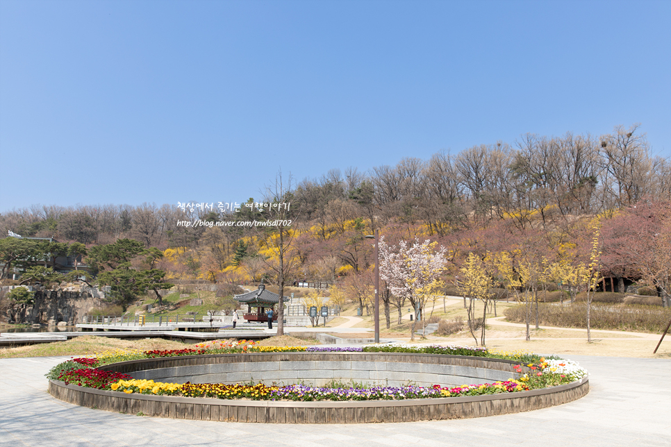 4월 북서울 꿈의숲 봄꽃구경 매화, 개나리, 벚꽃 현황