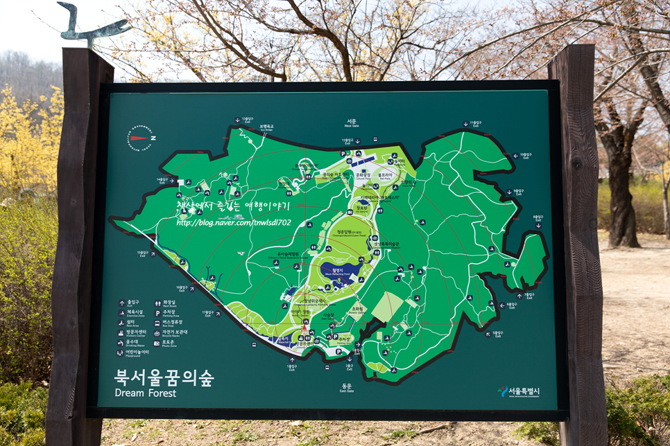 4월 북서울 꿈의숲 봄꽃구경 매화, 개나리, 벚꽃 현황