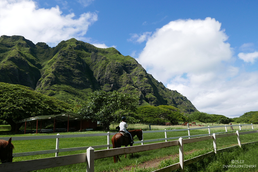 하와이 렌트카 예약 신혼여행 필수 해외여행 준비물!