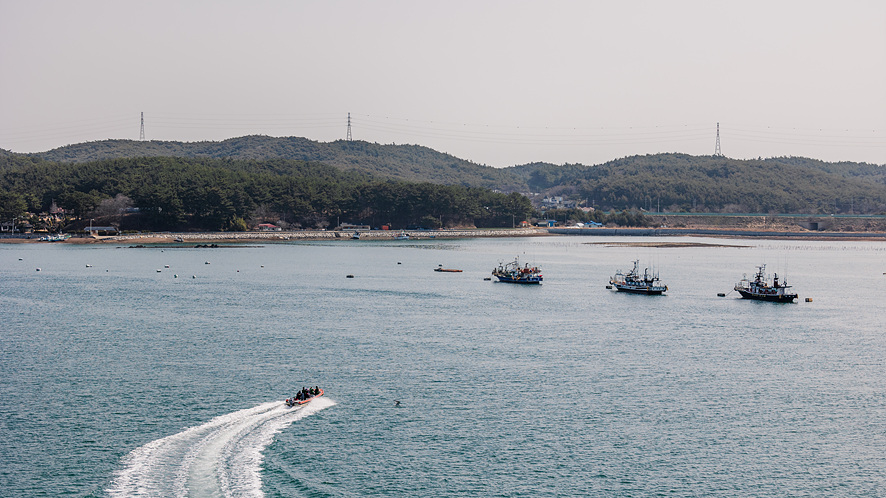 태안 반도 가볼만한곳 여행코스BEST6(천리포수목원, 신두리해수욕장 사막 포함)