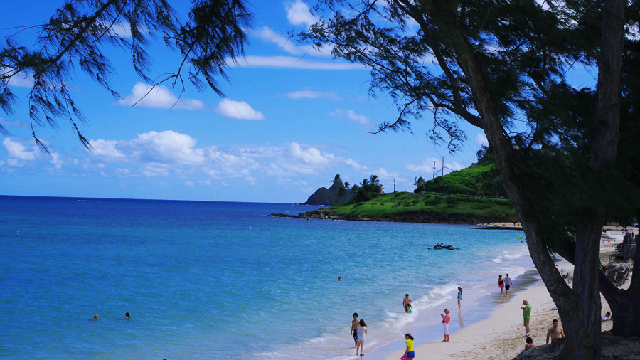 하와이 렌트카 예약 신혼여행 필수 해외여행 준비물!