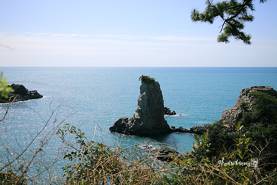 국내 제주도 2박 3일 여행 코스 제주도 관광지 패키지여행